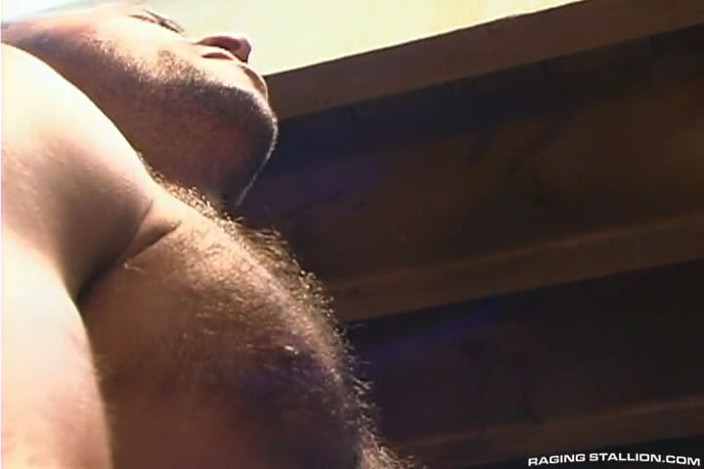 Raging Stallion: Çivi kadar sert