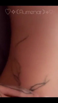 Tranny