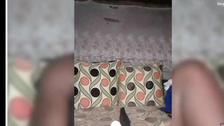 DivineAssGoddess: Fidanzata ebano perfetta: stile, fascino e Blis