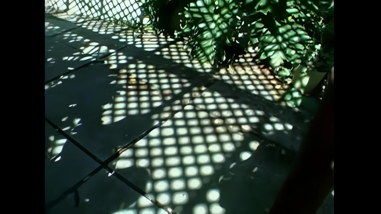 2 much love: Meine Schwangere Frau, Voll Mit Milch, Will Den Schwanz Meiner...