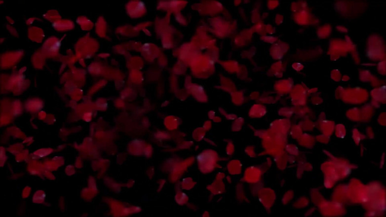 Miss Creamy: Obserwator obserwuje nas, gdy moja gorąca żona masturbuje się i wytryski...