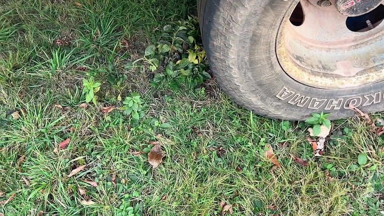 sweethanajapanese: Apre la figa pelosa in macchina e poi va fuori...