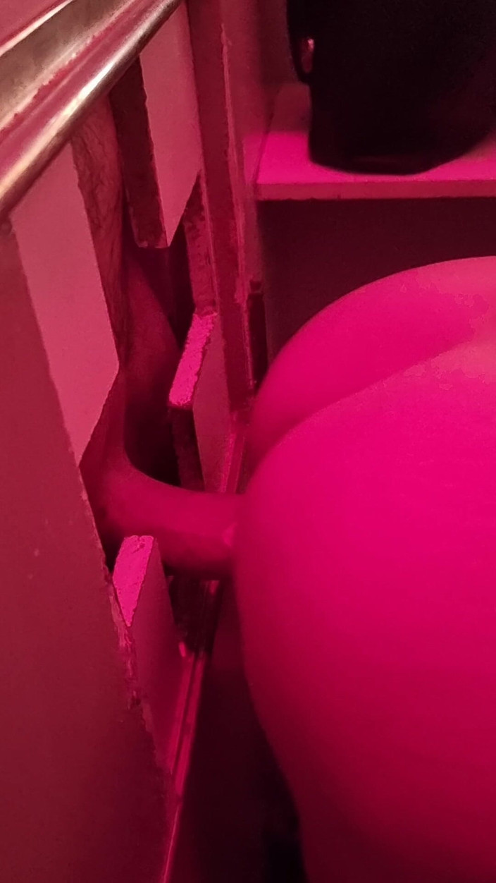 R b hubby: Kolejny gloryhole nieznajomy dla ciasnej cipki żony