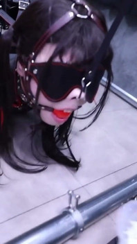 Latex and the Girlfriend Bound to the Limit, Nose Hook, Gag Ball