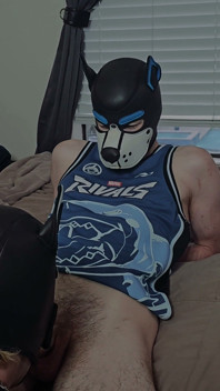 Dos Cachorros. Un Nuevo Juguete De Jocktribe.