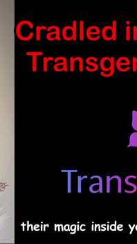 Kolébka v mrdce - Our Transgender Union, anglický audio sexuální příběh