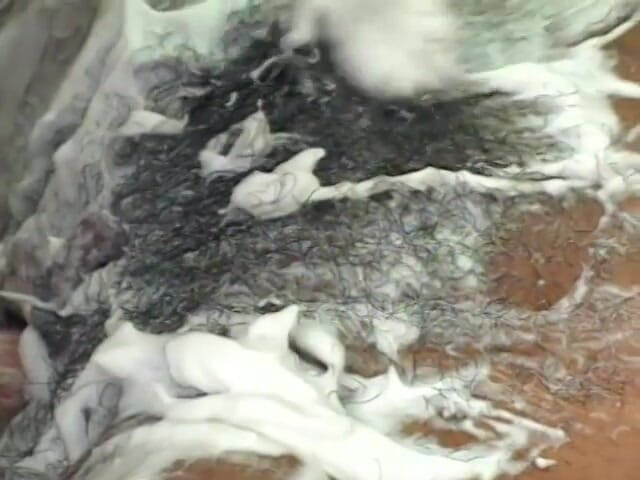 Hot and Wet: White guy puts fingers and tongue in the black pussy...