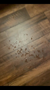 Squirting From Anal