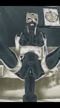 Crazy Dildo