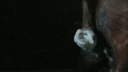 Fun_with_Rockey: Děje se ve tmě