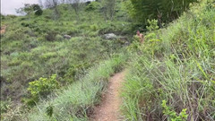 vergar4_daviid: Насолоджуючись соломою на відкритому повітрі