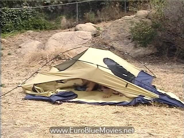 Euro Blue Movies: Fanny Farm (1996)