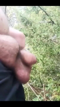 Stepdaddy Pissing, Want My Honey?