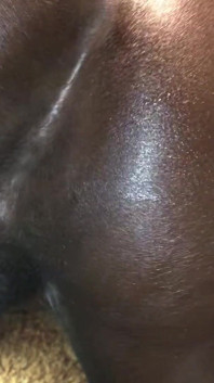Black Booty Wants BBC