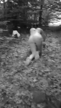 Szkolenie psów niewolników