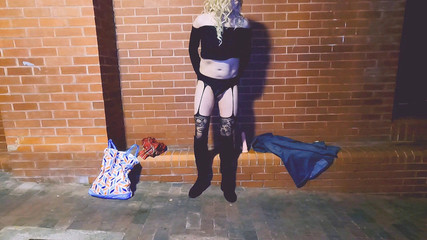 The Midnight Minx: Hrátky s robertkem na sídlišti