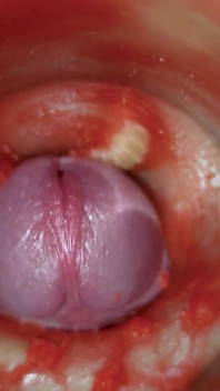 Sperma utan spermier. Utmärkt intern kamera. 4K