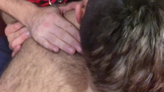 Puppy And HUBBY: Porta está aberta e filhote esperando para receber rimmed