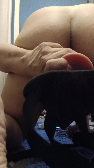 Omniequeenjay: Một số niềm vui solo sau khi bố đã phải đi làm...