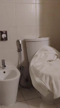 Uma esposa milf se masturba no banheiro e goza duas vezes. Cena completa. Ep 24301