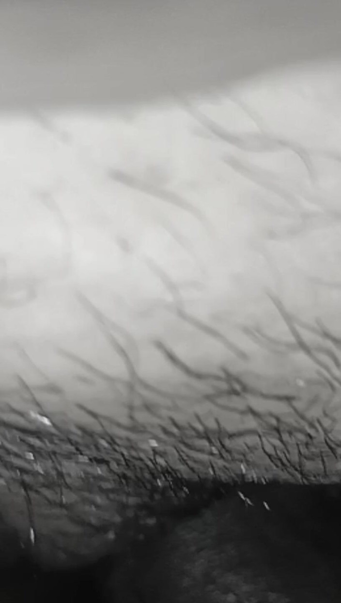 Asslove: Met vriendin