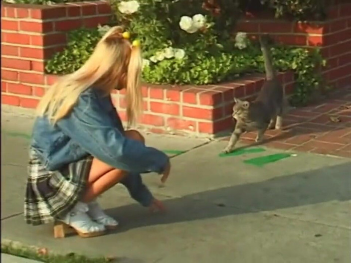 Vintage megastore: American College XXX - Vol 8