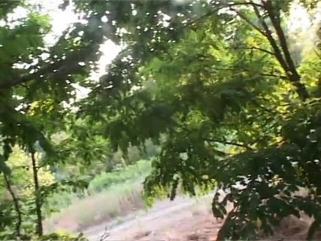 Out Sexxx: Fofa loira é fodida em um parque