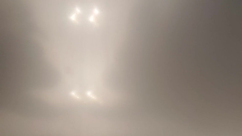 Skin and earth: Пухлий ведмідь, відео від першої особи знизу. Дратує і тобі на обличчя