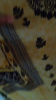 Zia pakistana scopata dal vicino ragazzo bollente quando era pronta per incontrare il suo ex ragazzo