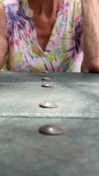 At a Picnic Table in the Rain Forest