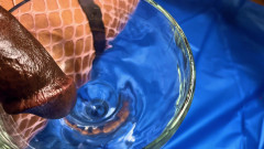 Ms300 Sarazia Exotic: Ms300 sarazia exotic - tanrıça nektar