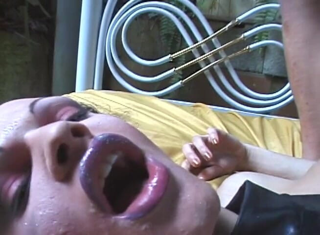 Chicks with Dix: 巨乳のTs美女が肛門耕屋外