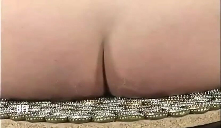 Hardcore slave sex: Excelente chica de aspecto ama la sensación de sus pezones...