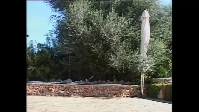 Cinema X: Dalam Hungary, lucah berada di puncaknya dalam pengeluaran dunia