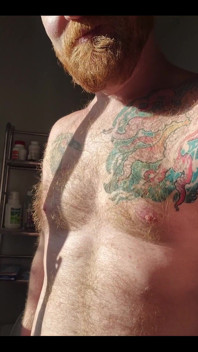 The Morning Sunlight