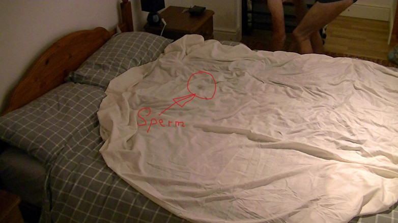 Mark Hannes: ネイキッドホテルベッドハンプオナニー