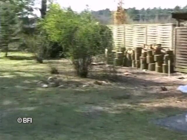 Pissing Girls: Bizarní soubory 119