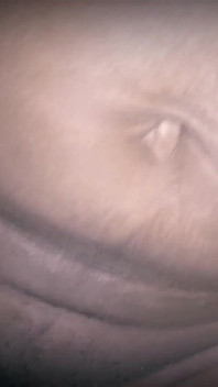 Sex în cuplu desi