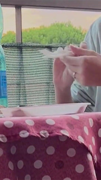 Il pompino di una coppia italiana sotto il tavolo dopo aver mangiato un creampie profondo pov