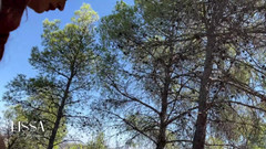 Lissa Brown: Seorang lelaki kecil memancut ke dalam mulut saya di luar...