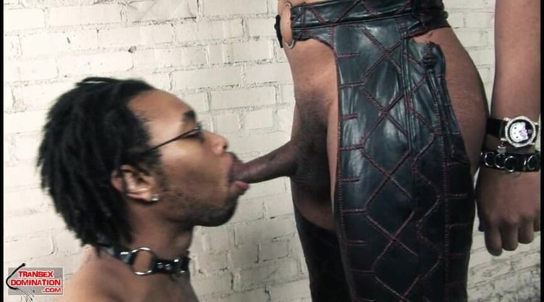 Transex domination: Caress in Charge