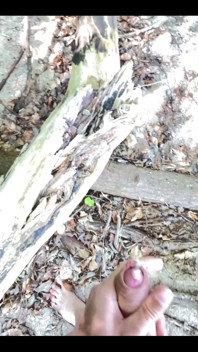 Masturbating in the Forest