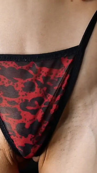 Abs Veins