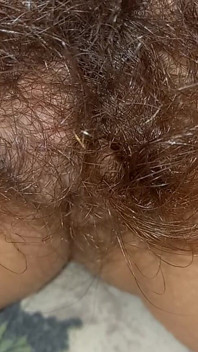 Shorts Hairy