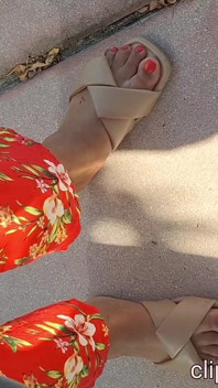 Podróżowanie Redbone z Pretty Red's w South Beach