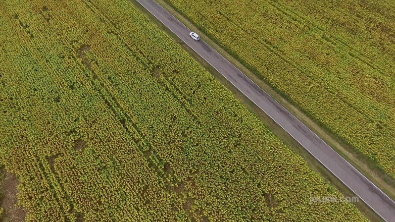 Joymii: Joymii - чоловік зраджує її дружині цим гарячим автостопом