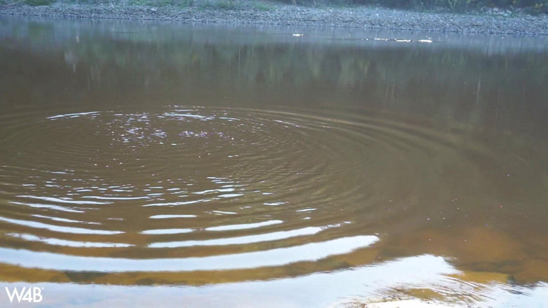 Watch4beauty: Cerca del dique