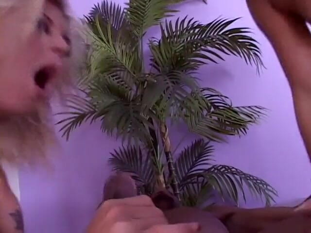 Perfect Porno: Pretty chicks rides bbc on threesome