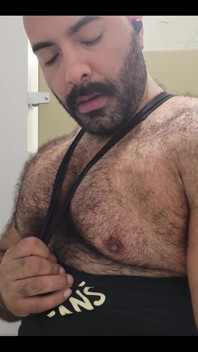 Solo Bear