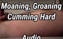 Karl Kocks: Moaning, Groaning, Cumming Hard Audio. Sit back, relax, stick I&amp;#039;m...